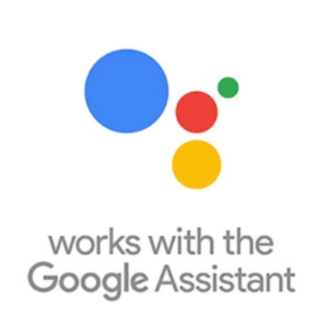 google_assist.jpg